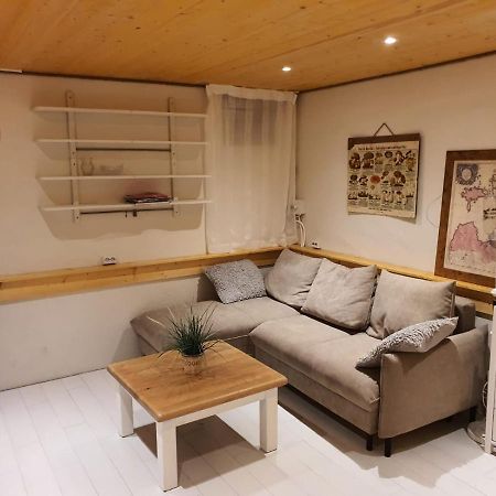 City Center Basement Studio 塔林 外观 照片