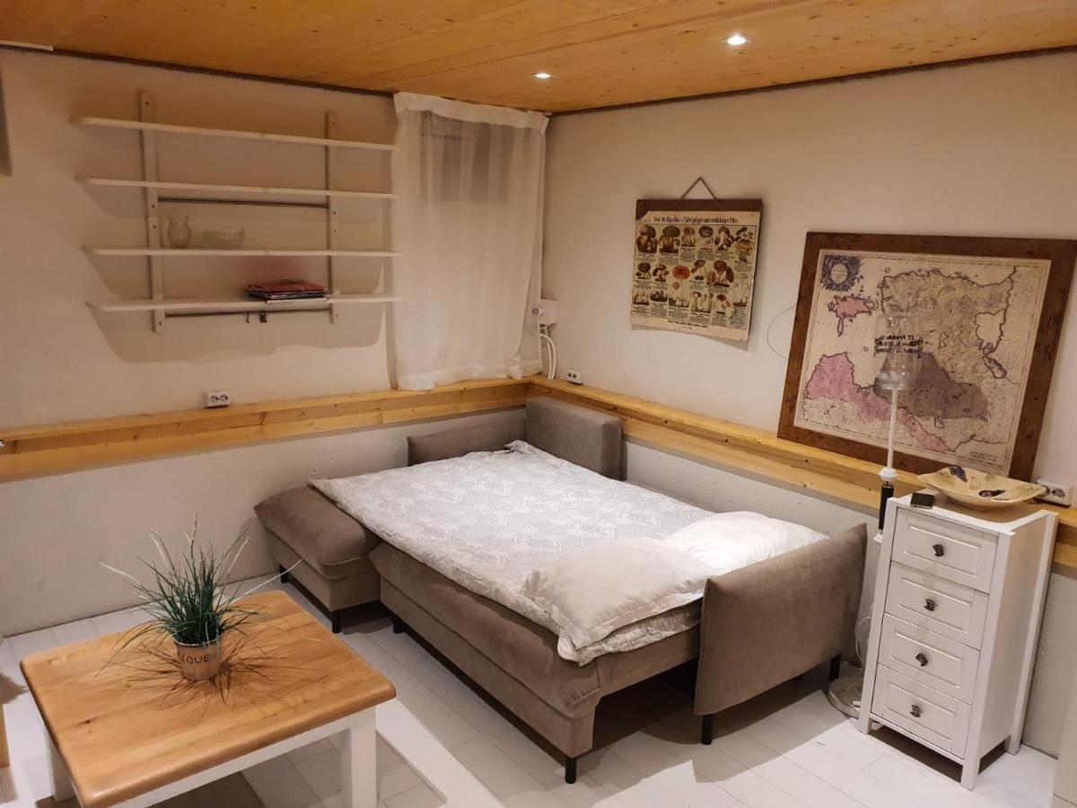 City Center Basement Studio 塔林 外观 照片